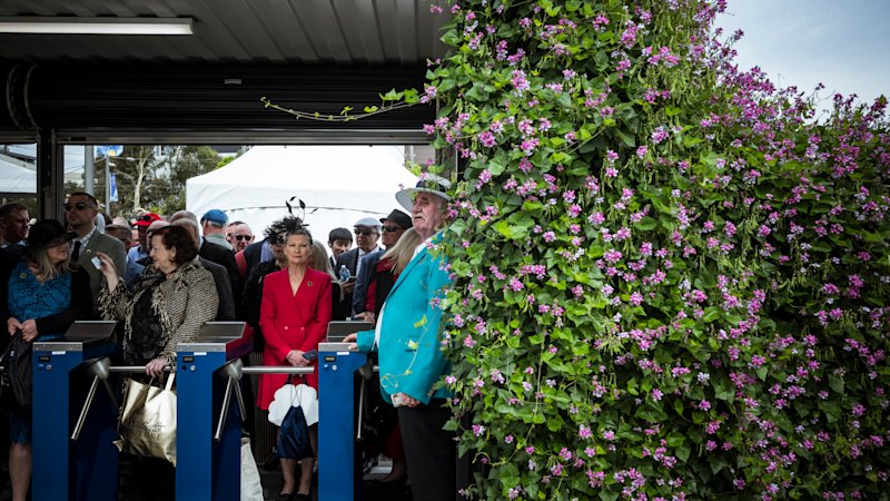 Cox Plate 2025