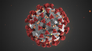 The 2019 Novel Coronavirus (2019-nCoV), also known as Wuhan coronavirus.