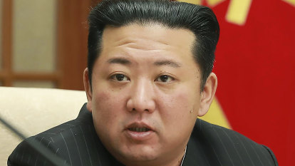 ‘Great turmoil’: Dozens die in North Korea as Kim admits scale of COVID outbreak