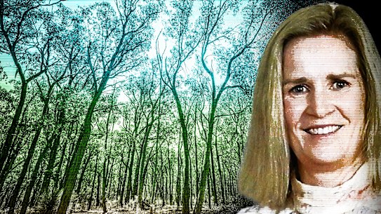 Forested country in the Canadian Plantation, near the Ballarat suburb of Mount Clear, where runner and mother of three, Samantha Murphy (inset), went missing on February 4 last year.