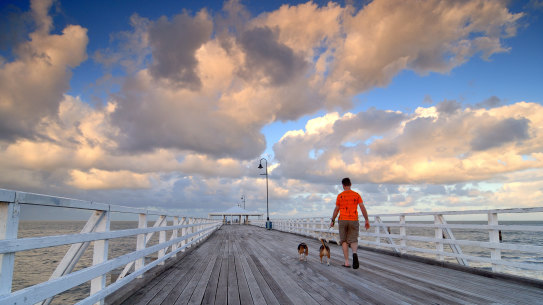 A man walks his dogs on the Shorncliffe Pier, part of the Moreton Bay Regional Council area and one of Greater Brisbane’s most tightly held suburbs.