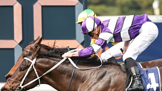 Last-start winner Caballus is a good chance for James McDonald in the first at Rosehill on Saturday,