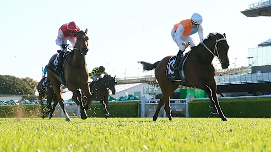 Montefilia beats Lion’s Roar in the Spring Champion Stakes in the spring and is ready for the challenge of 2000m again 