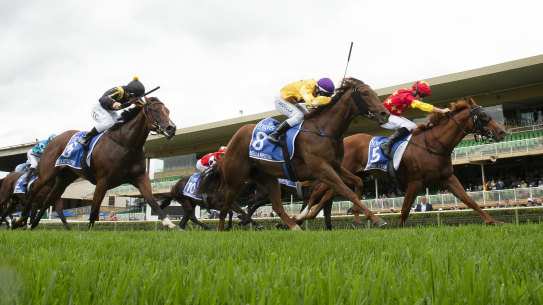 Warwick Farm will host a seven-race card on Monday.