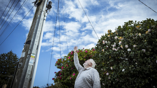 Mark Gregory is an RMIT Associate Professor and telco expert.