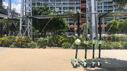 Lime scooters at Gasworks at Newstead after a temporary permit allowed the company to start operating in Brisbane without users facing hefty fines.