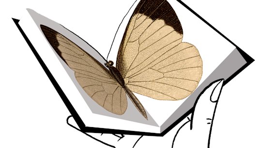 Illustration by Simon Letch.