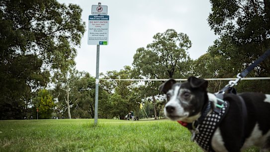 Northcote Golf Course looks set for another ‘redesign’.