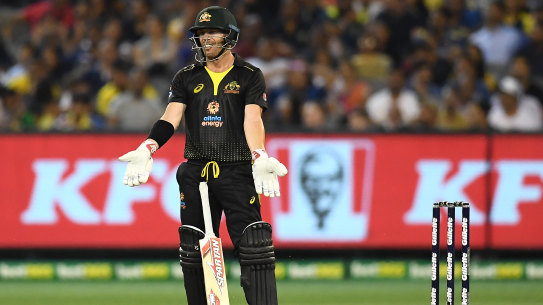 David Warner reacts after the ball hit  the stumps but did not dislodge the bails.
