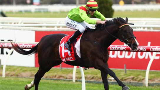 Begood Toya Mother won the Rupert Clarke Stakes. 