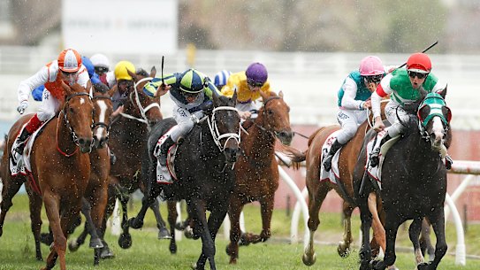 Paul Bloodworth usually travels the globe to try to entice international horses for Melbourne's spring carnival.