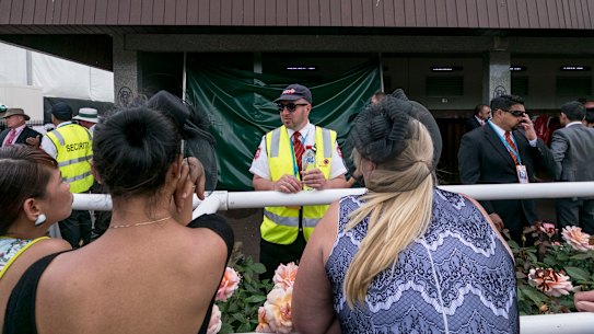 View from the Birdcage after Admire Rakti collapsed in the stalls, Melbourne Cup, 2014. 