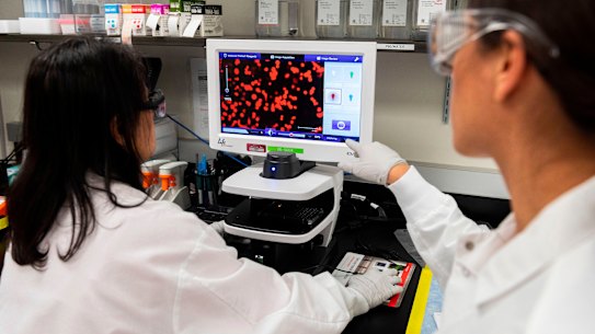 Scientists at work at Novavax labs in Maryland.