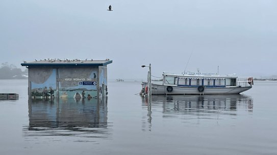 Waterlogged Mallacoota was cut off by a landslide.