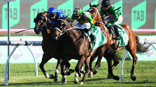 Rediener will carry the hopes of Red Kite in the Golden Eagle