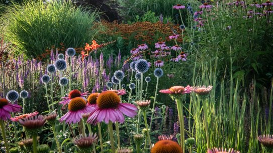 Ralph Bristow’s constantly changing garden will be open to the public in March