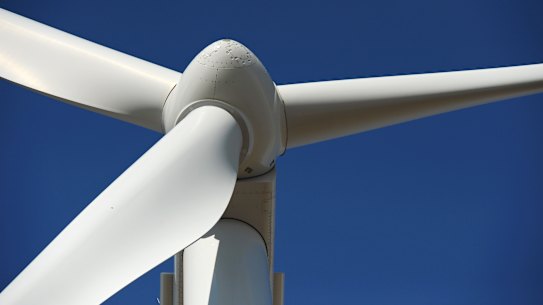 Investors pulled a record $20.1 billion from sustainable-investment funds in 2024.