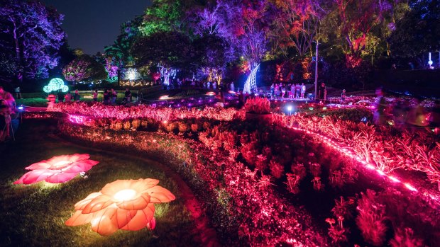 Enchanted Garden to light up Roma Street Parkland with possum magic