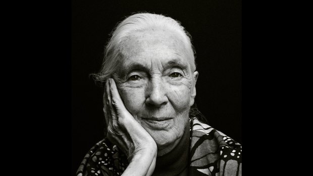 Dr Jane Goodall: ‘Growing up girls didn’t do the things I wanted to do’