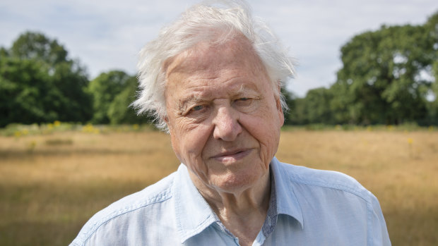 Faced with ‘the biggest of all global problems’, Attenborough sees a solution