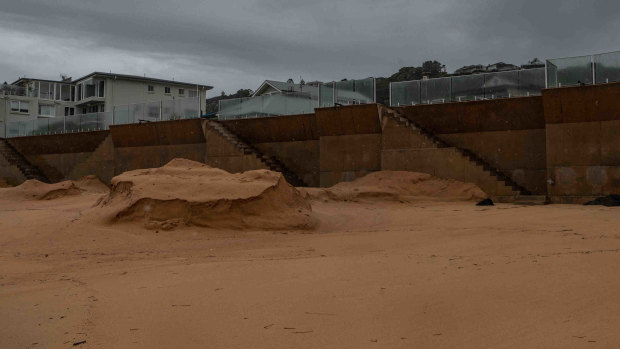 Coastal erosion warning as NSW prepares for strong winds and swell