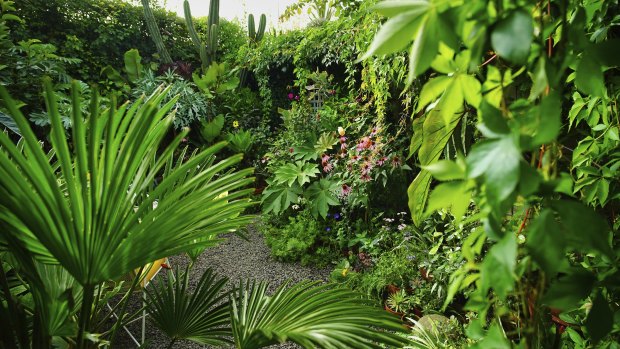 Small space, big dreams: How to make the most of a tiny backyard