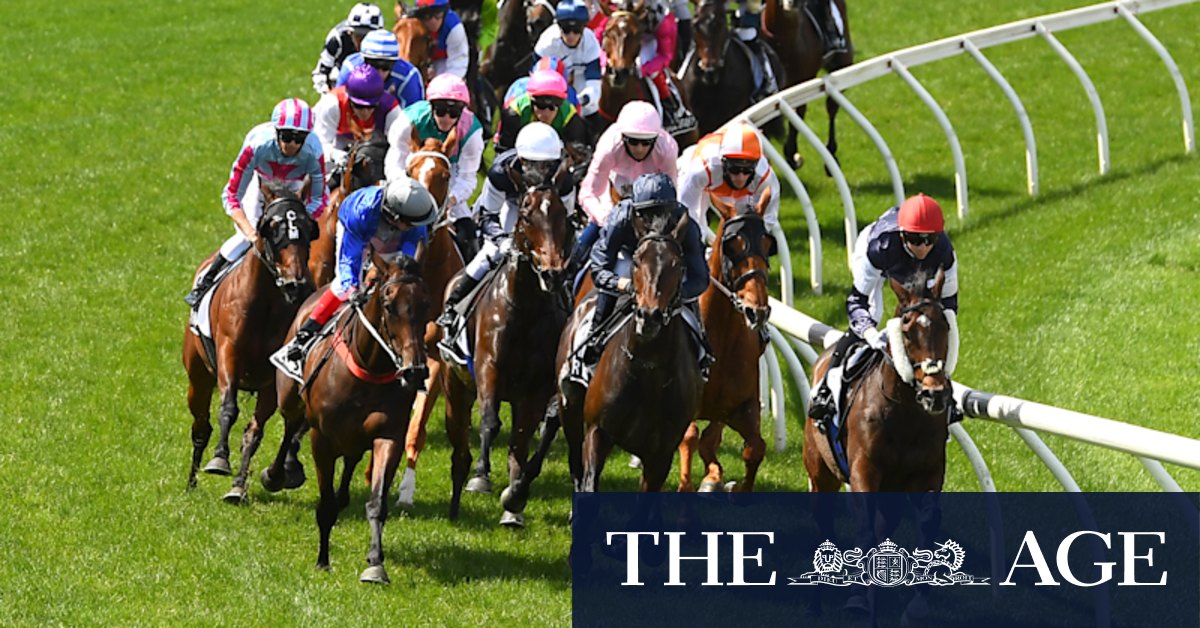 Melbourne Cup 2021: Young Werther sidelined due to injury as Cup field takes shape - Vimarsana News