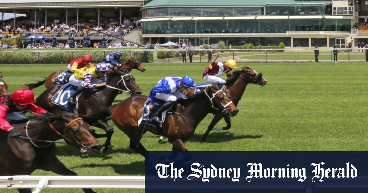 Newcastle races Tuesday tips and full preview