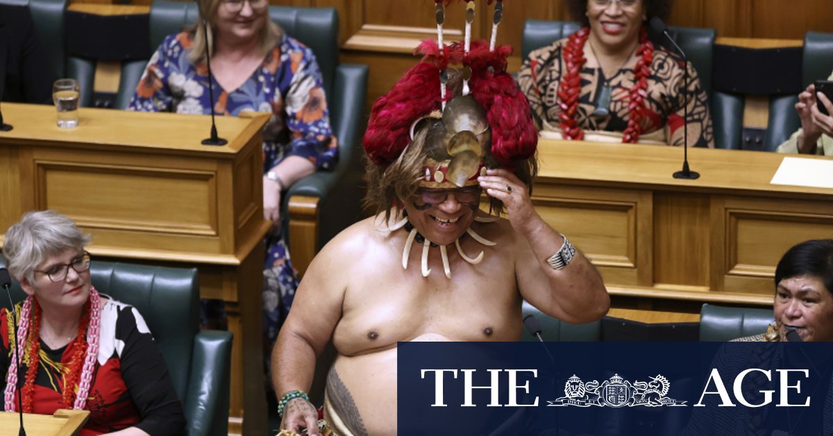Voice to parliament: How Indigenous representation works in Finland, NZ, and others - Vimarsana News