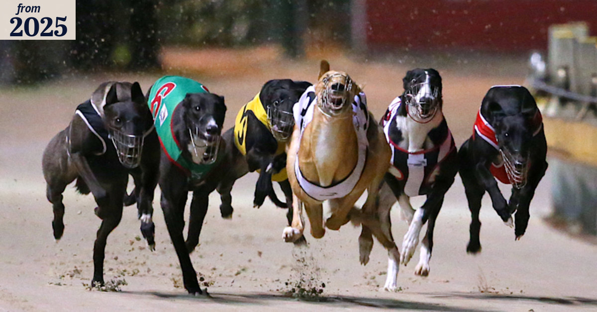 Greyhound Racing NSW inquiry finds ‘significant governance and ...