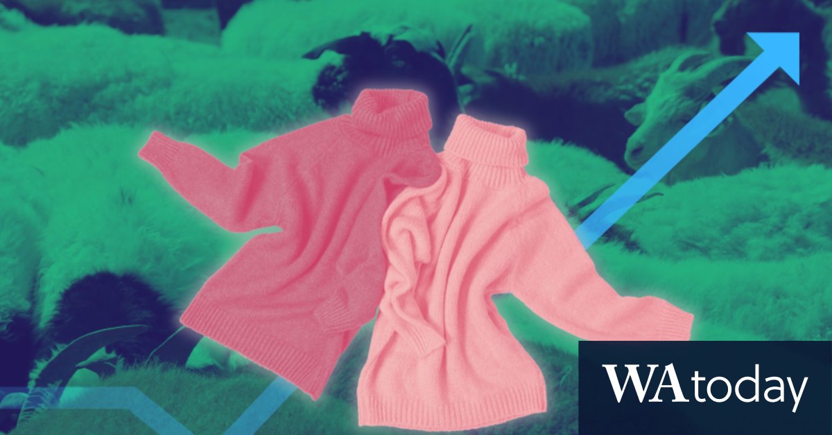 What is cashmere and how sustainable is it? - Vimarsana News