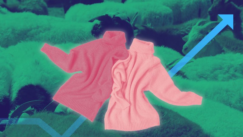 ‘$100 is a red flag’: What to know about cheap cashmere