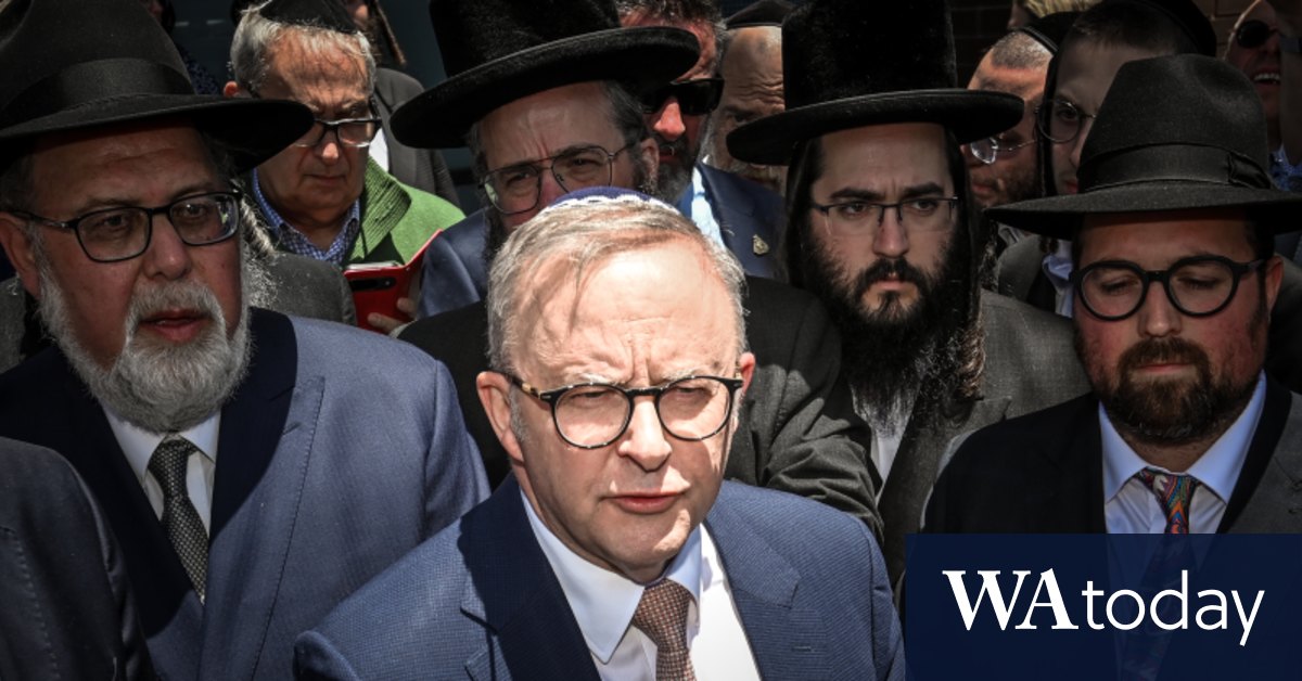 Labor, Anthony Albanese accused of enabling attacks