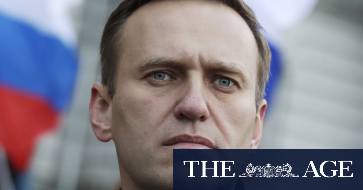 Alexei Navalny’s memoir is a reminder of literature’s true purpose