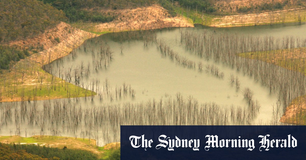 Body found in search for missing Lake Eildon swimmer - Vimarsana News