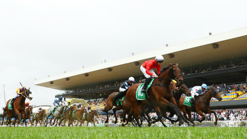 Race-by-race tips and previews for Randwick on Saturday