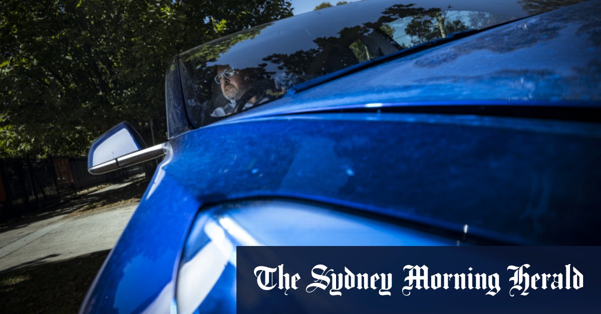 Sie lieben Ihren Tesla, können aber Elon nicht ausstehen? Die ...