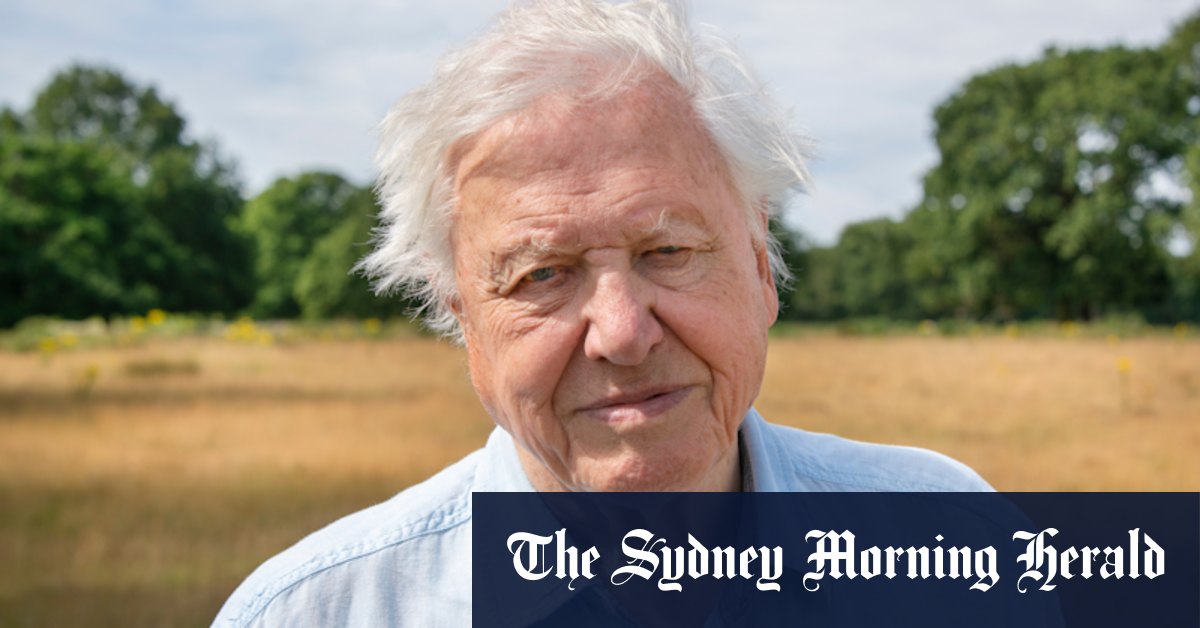 Not even London lockdown could stop David Attenborough's new series - Vimarsana News