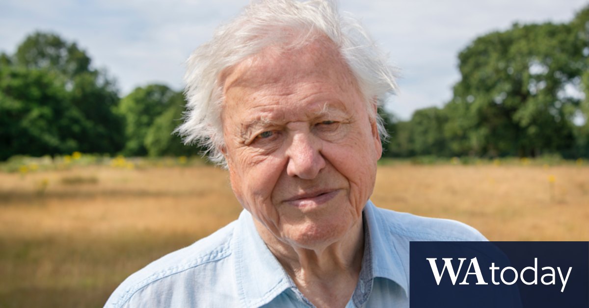 New Attenborough series will ruffle feathers – and then offer solutions - Vimarsana News