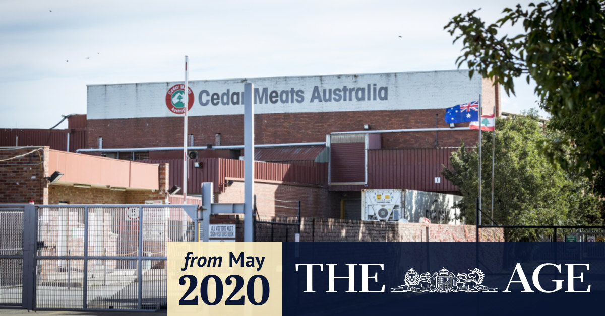 Labour Hire Firm Told Of Covid 19 Outbreak Days Before Cedar Meats