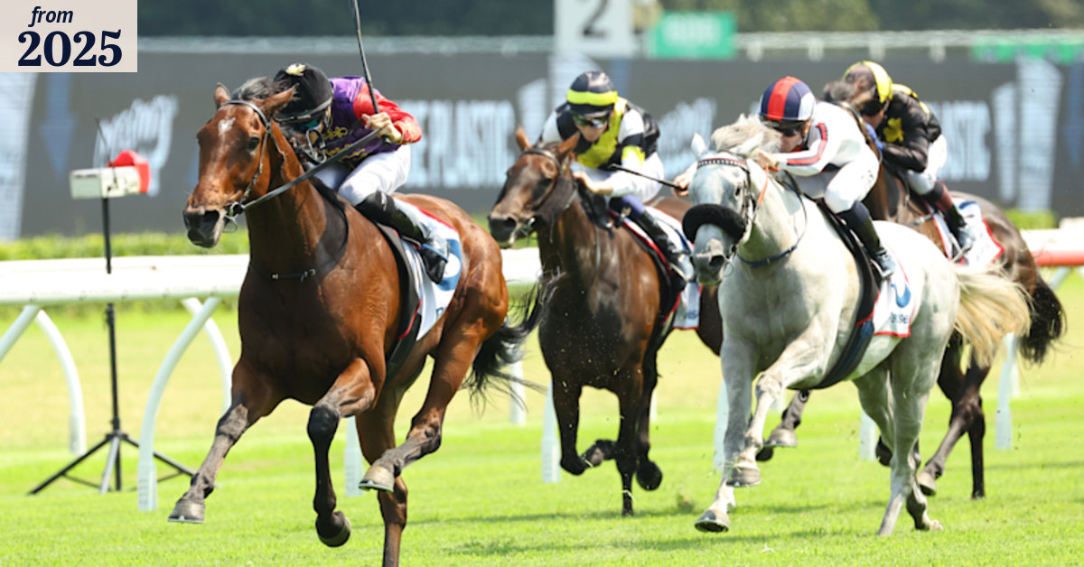 Randwick races: Tips and previews for Randwick Kensington on Wednesday