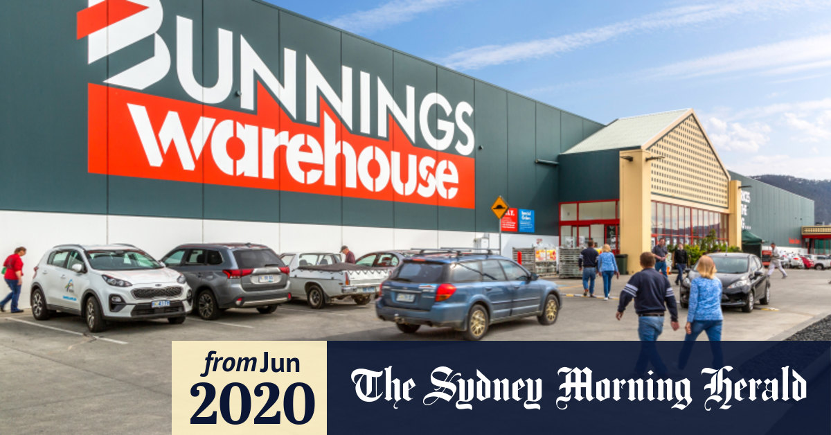 Bunnings Ends Vicforests Timber Contract Over Logging Breaches