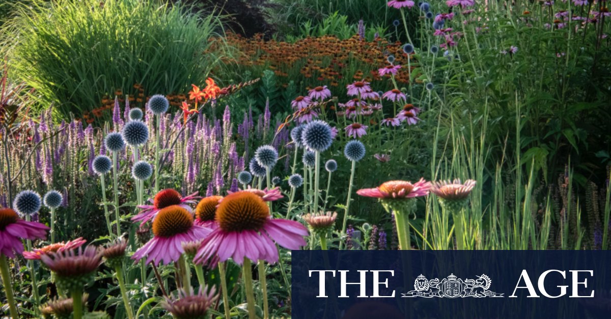 Perennials and imperfections: The garden trends you'll be seeing in 2024 - Vimarsana News