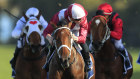 James McDonald pilots exciting mare Arcadia Queen to an easy win last month. 