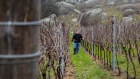 Winemaker Adam Foster at his vineyard at Tooborac in Victoria.