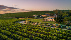 Coriole Vineyards, McLaren Vale.