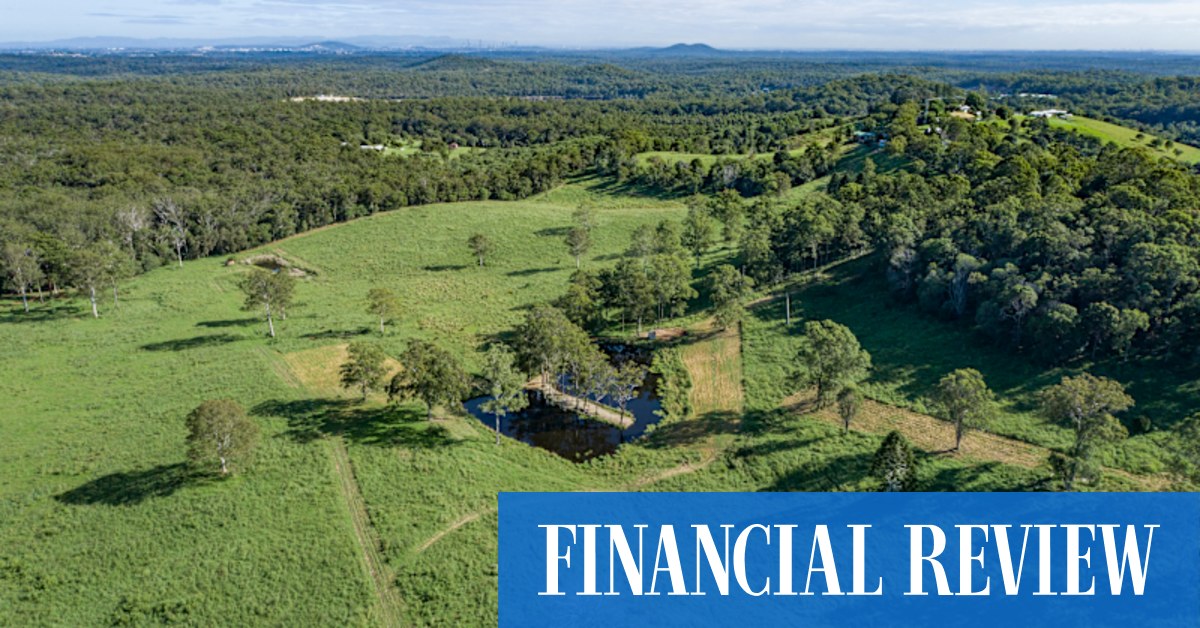Queensland property: Koala Farmland Fund beats lifestyle buyers to Mount Cotton rural block near Brisbane - Vimarsana News