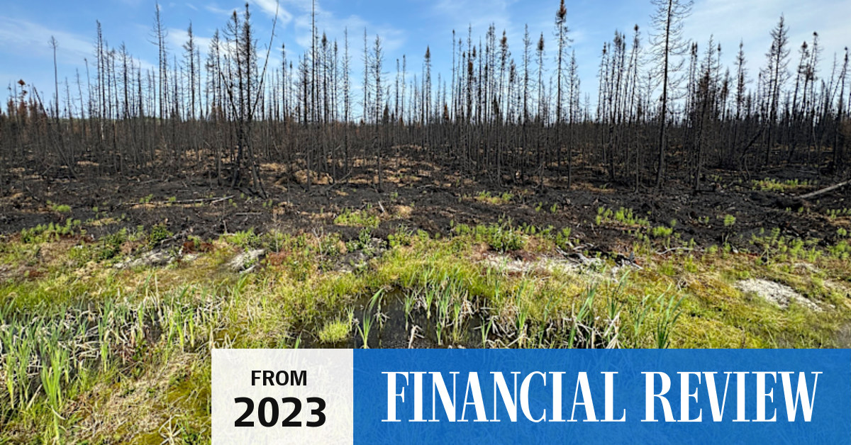 Canada’s record wildfire season set to worsen as heat builds