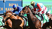 Chad Schofield on Tempted (blue silks) held off a late charge from Ka Ying Rising (red and blue) to win the Everest.