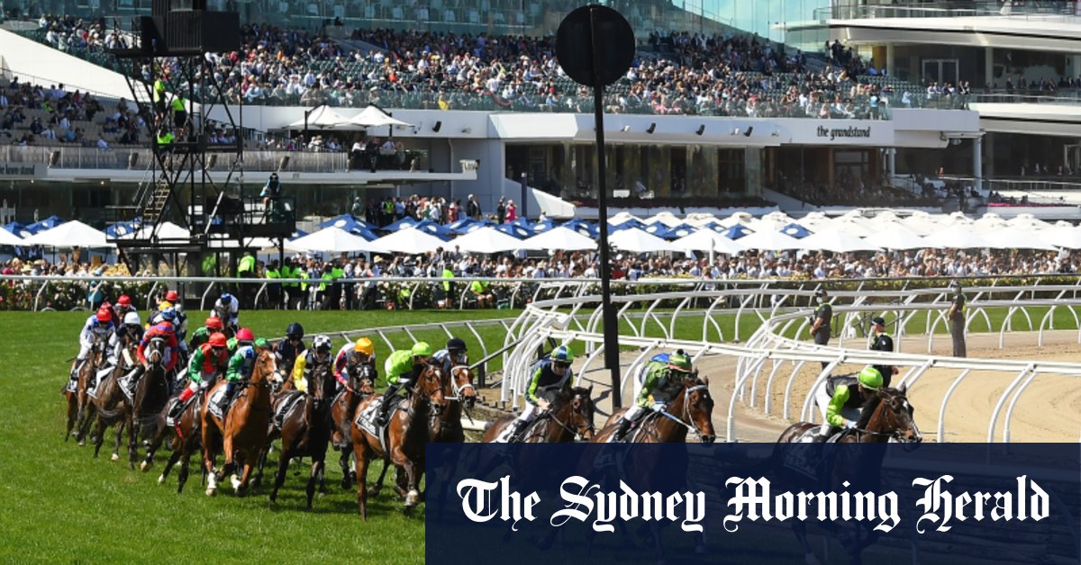 ‘Buzzing and open for business’: Crowds boost Cup week
